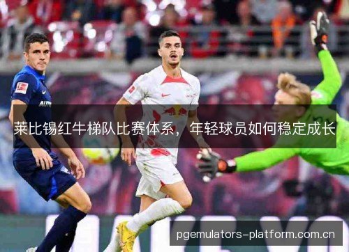莱比锡红牛梯队比赛体系，年轻球员如何稳定成长